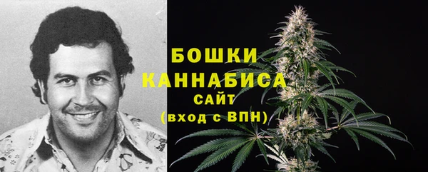крисы Беломорск